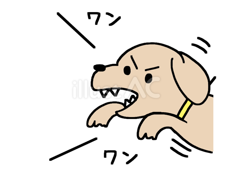 吠える犬 犬,吠える,怒るのイラスト素材