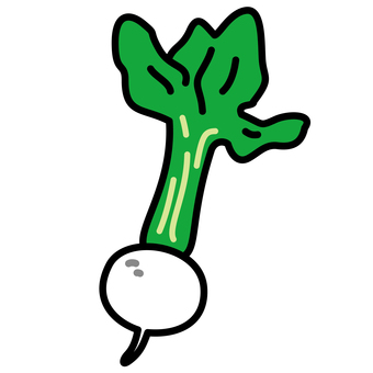 カブ 蕪,野菜,カブ,根菜,食べ物,かぶら,食材,冬野菜のイラスト素材