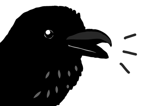 鳴くカラス 鳥,野鳥,カラス,顔,クール,黒,リアル,シンプル,オリジナル,イラストのイラスト素材
