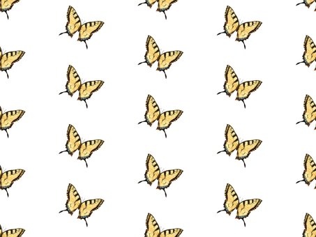 アゲハ蝶　③ アゲハチョウ,アゲハ,蝶,蝶々,昆虫,虫,羽,羽根,飛ぶ,生物のイラスト素材