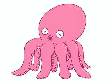 Illustration, octopus, animal, sea, 