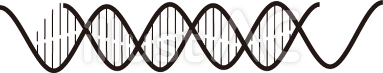 DNA dna,遺伝,遺伝子のイラスト素材