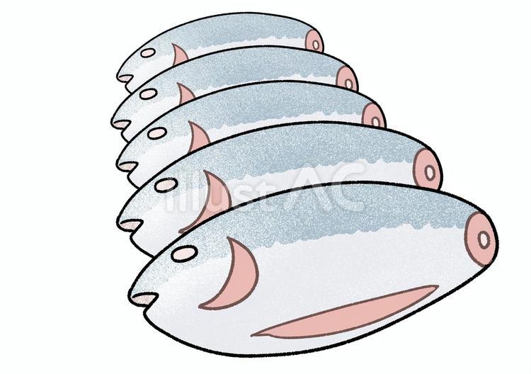 並ぶ冷凍マグロ 冷凍,マグロ,魚のイラスト素材