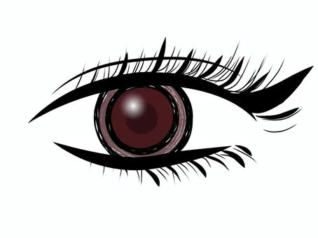 瞳イラスト 瞳イラスト 瞳,イラスト,目,まつ毛,アイライン,二重のイラスト素材