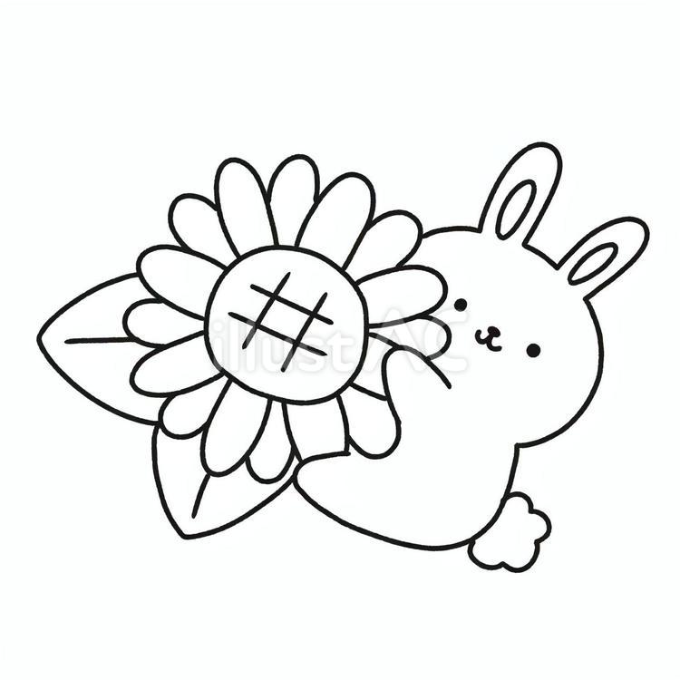 うさぎと向日葵 向日葵,うさぎ,夏のイラスト素材