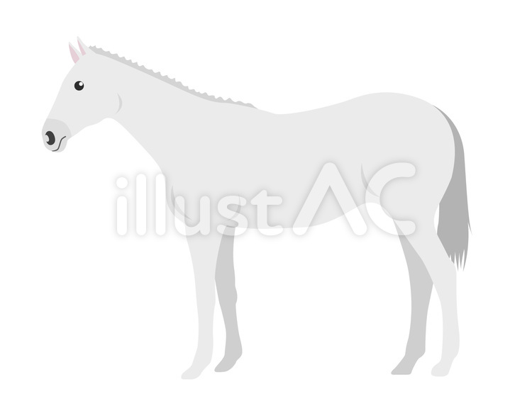 白馬イラスト No 928378 無料イラストなら イラストac