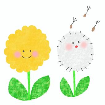 Illustration, tiny, dandelion, waste, 