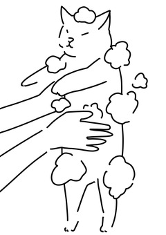 猫を立たせて洗う　線画 猫,泡,風呂,清潔,線画のイラスト素材