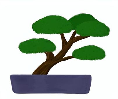 盆栽 盆栽,植物,枝,草,植木鉢,葉,趣味,庭のイラスト素材