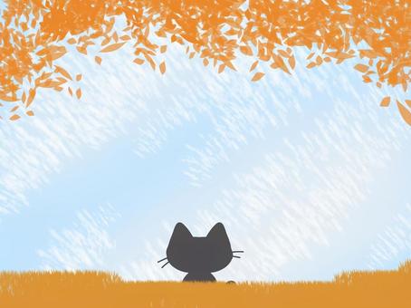 Autumn sky and cat, autumn, cat, silhouette, JPG