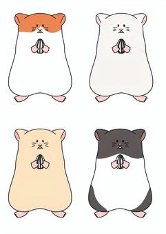 ハムスターず ハムスター,ハムちゃん,動物,ペット,柄のイラスト素材