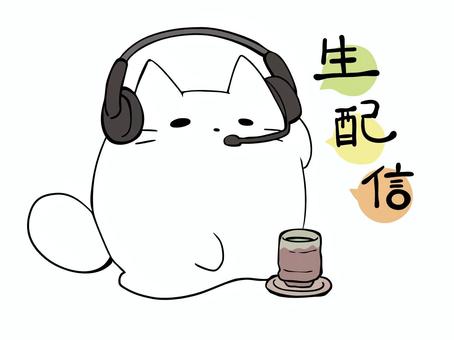 Illustration, cat, white cat, video, 
