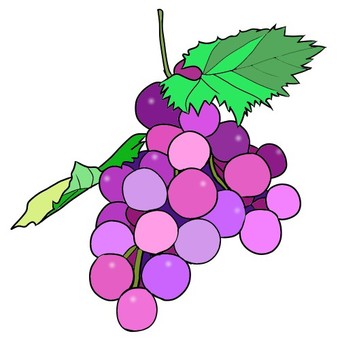 Grape, grape, fruits, food, JPG