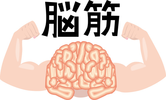 脳筋 脳筋,脳みそ,頭,内部,筋肉,腕,力,天才,イメージ,文字のイラスト素材
