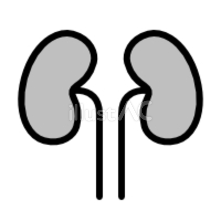 黒系２色の腎臓アイコン 腎臓,内臓,臓器のイラスト素材