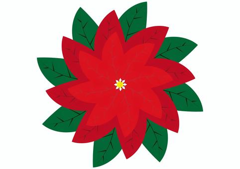 Illustration, poinsettia, christmas, flower, 