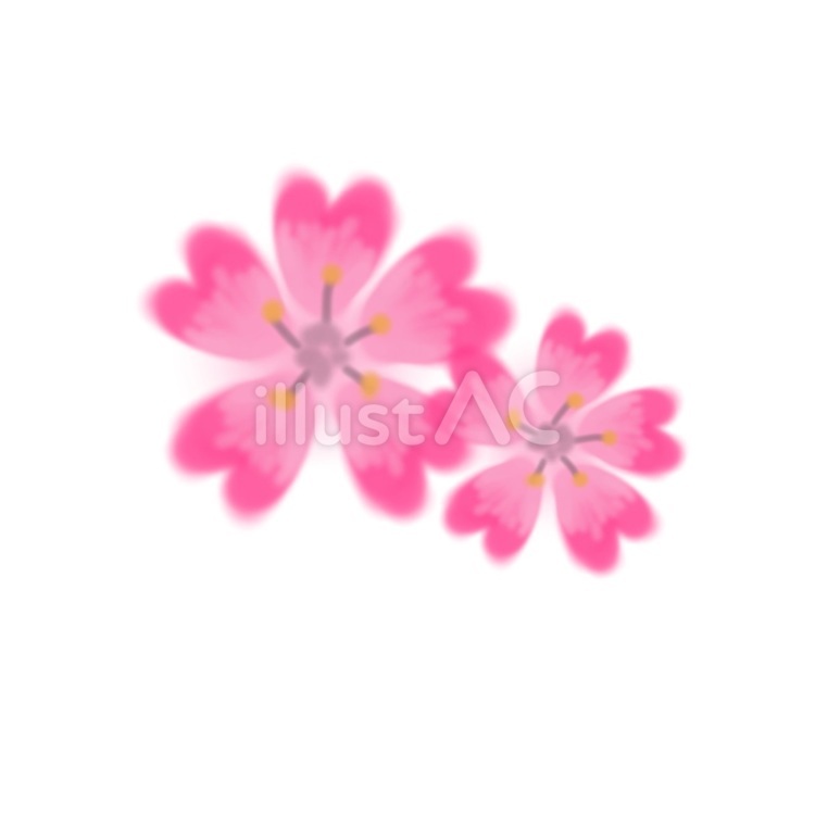 さくらの花 さくらの花 かわいい,おしゃれ,春のイラスト素材