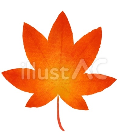 紅葉の葉(単品)