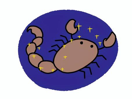 さそり座 さそり座,さそり,生き物,星,星座,はさみ,十二星座,夜空,星空,11月のイラスト素材