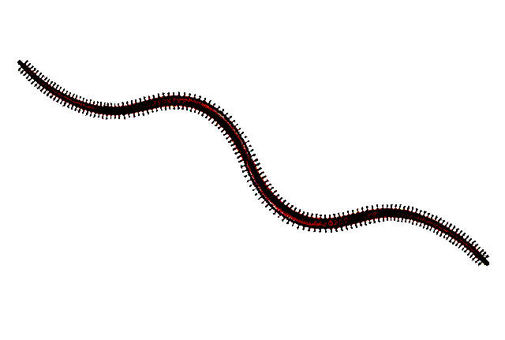 Gokai, JPG and PNG Gokai, gokai, earthworm, fishing, JPG and PNG