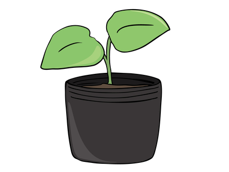 苗 苗,葉,土,栽培,植物,ポット,主線あり,イラスト素材,広告,チラシのイラスト素材