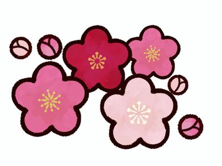 満開の梅の花・縁起物和風イラスト