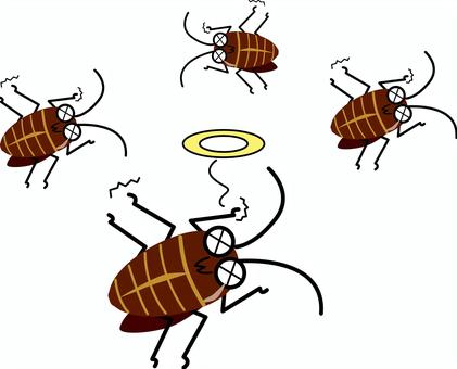 ゴキブリ撃退　 ゴキブリ,害虫,虫,汚い,弱る,死ぬ,複数,撃退,デフォルメ,コミカルのイラスト素材