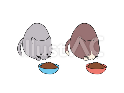 ご飯をたべるネコ