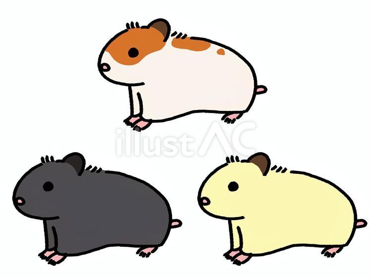 3匹のハムスター横向きセットイラスト - No: 26063005｜無料