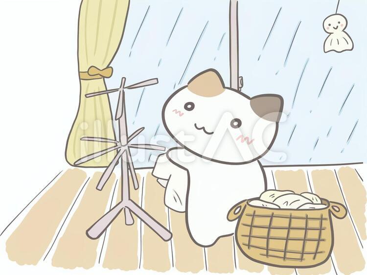 雨の日に室内干しする三毛猫 洗濯物,室内干し,雨のイラスト素材