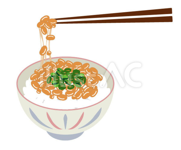 納豆：箸：ねぎ 納豆,ご飯,糸のイラスト素材