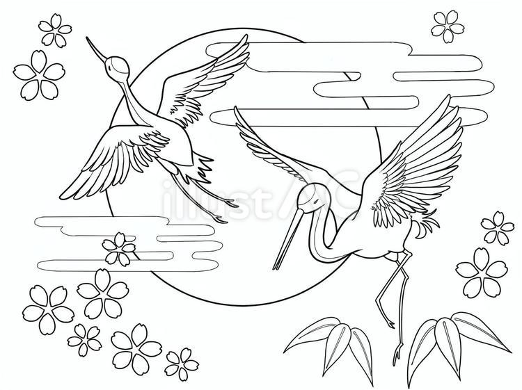 ぬり絵　鶴 ぬり絵,鳥,鶴のイラスト素材