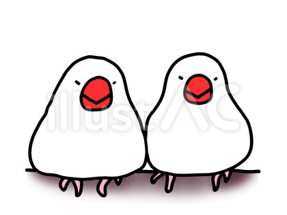 文鳥