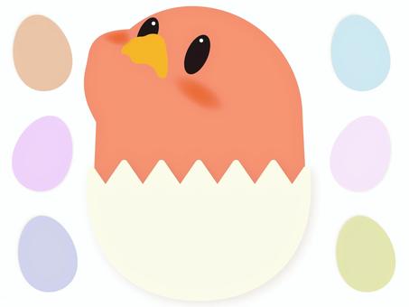 赤ひよこのキャラクター ひよこ,赤,卵,たまご,殻,キャラクター,かわいい,動物,鳥,赤ちゃんのイラスト素材
