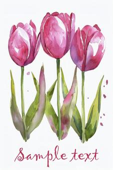 Watercolor tulip celebration card 06, , JPG