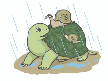 梅雨の亀さんとカタツムリ親子 梅雨の亀さんとカタツムリ親子 梅雨,初夏,雨のイラスト素材