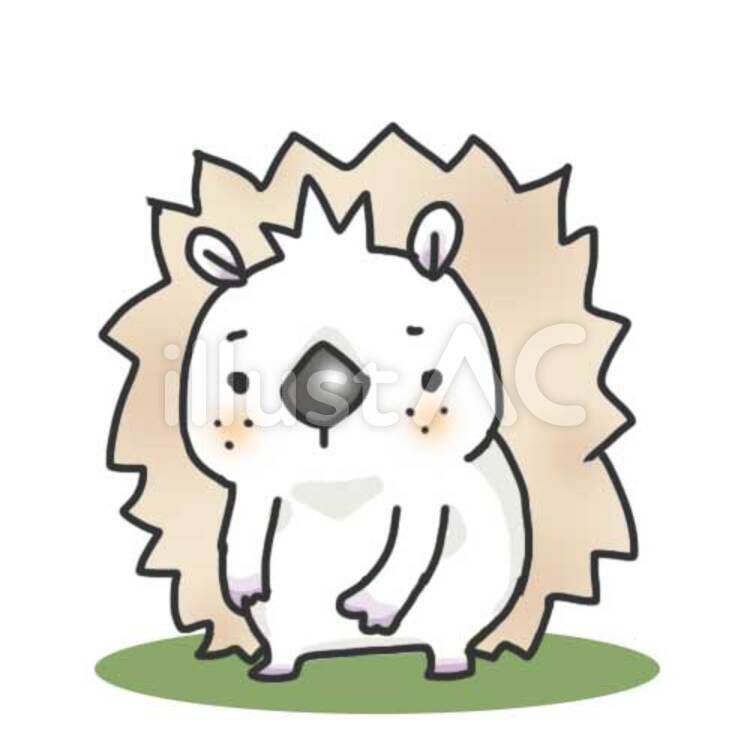 ハリネズミのつもりだった コアラ,ハリネズミ,素材のイラスト素材
