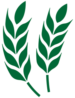 麦のアイコン 緑 麦,穀物,大麦,小麦,植物,葉,稲穂,農業,オーガニック,食べ物のイラスト素材