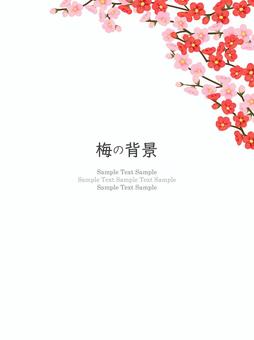 梅の花のフレーム、背景03 梅,花,水彩,フレーム,背景,梅の花,和,和風,和柄,手描きのイラスト素材