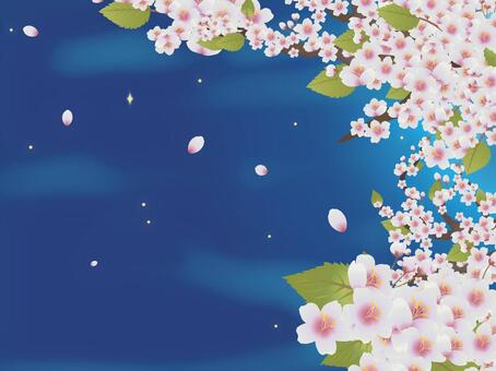 Sakura 04, cherry blossoms, spring, cherry blossoms, JPG and PNG