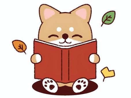読書の秋を楽しむ柴犬 犬,柴犬,豆柴,赤柴,動物,ペット,かわいい,手描き風,キャラクター,カット素材のイラスト素材