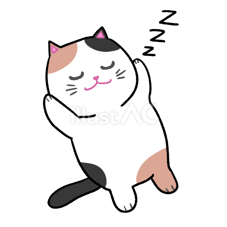 眠る三毛猫さん 猫,三毛猫,動物のイラスト素材