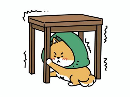 地震だ！机の下に隠れよう　柴犬版 柴犬,地震,防災,避難訓練,災害対策,防災の日,防災週間,災害,災害時,地震対策のイラスト素材