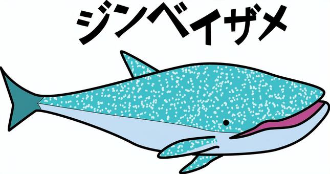 ジンベイザメ　　 ジンベイザメ,海,水族館,泳ぐ,水中,大きい,生き物t,デフォルメ,線画のイラスト素材