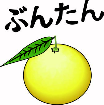ぶんたん ぶんたん,柑橘類,果物,フルーツ,カット,新鮮,ひらがな,線画のイラスト素材