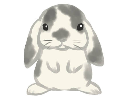 Illustration, rabbit, small animals, animal, 