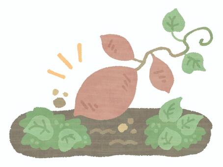 お芋掘りのイメージ さつまいも,蔓,葉っぱ,根っこ,芋づる,お芋掘り,さつまいも掘り,掘る,収穫,体験のイラスト素材