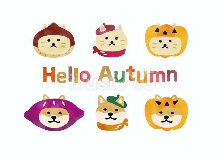 秋の装いと被り物の猫と犬　水彩 秋,ハロウィン,アイコンのイラスト素材