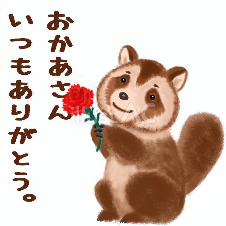 母の日：たぬき 手描き,花,プレゼントのイラスト素材