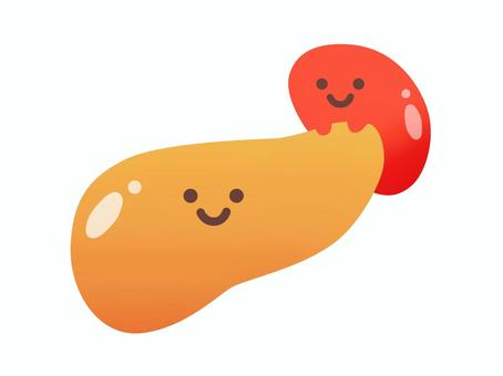 元気な膵臓と脾臓のイラスト 膵臓,脾臓,内蔵,臓器,メディカル,医療,体,健康,元気,丈夫のイラスト素材